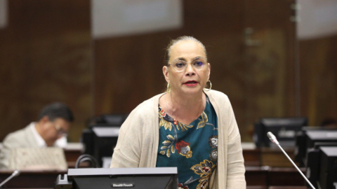 La legisladora correísta Pierina Correa en una sesión de la Asamblea, durante el debate de las reformas al COIP, el 22 de febrero de 2024.