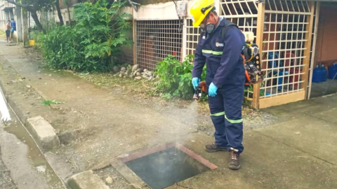 Personal del Ministerio de Salud trabaja en la fumigación de los mosquitos portadores del dengue en Babahoyo, el 26 de febrero de 2024.