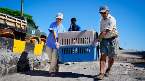 Guardaparques de Galápagos en un operativo el 6 de marzo de 2024.