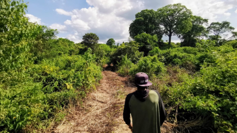 Militares abrieron una trocha de ingreso a los terrenos de la nueva cárcel de Santa Elena, en la vía entre el recinto Don Luca y la comuna Junta del Pacifico. 