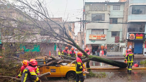 En Calderón se registró una caída de un árbol sobre un taxi, este 2 de abril.