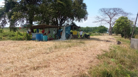 Perjudicados de la asociación campesina Patria Nueva volvieron a las tierras de las que fueron desalojadas hace cinco meses en el kilómetro 15 de la vía Durán-Boliche. 