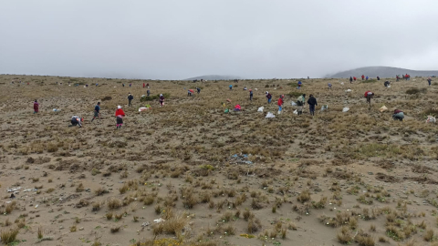 En la actualidad, 60 comunidades de Tungurahua trabajan en la protección de páramos, pero no todas respetan el límite de conservación.
