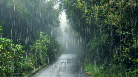 Imagen referencial de lluvia en un espacio verde la ciudad.