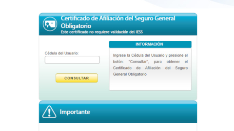 Captura del portal web del IESS. 