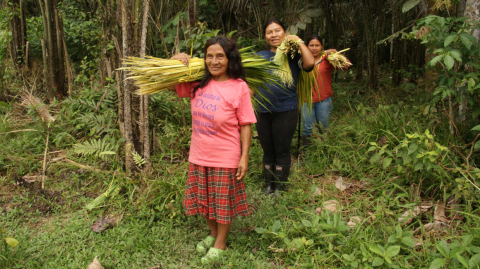 mujeres waorani