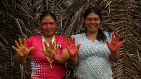 mujeres wao manos pintadas 3