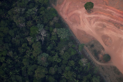 Imagen aérea de la deforestación en la zona de Puerto Viejo, estado de Rondonia. 