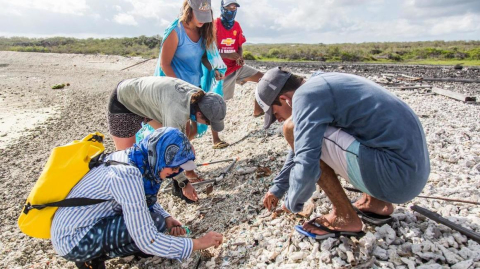 Muestreo de plástico en una playa de Galápagos.