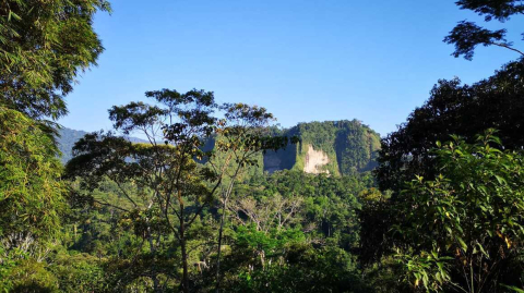 Vista panorámica del parque Napo Sumaco.