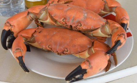 Los cangrejos son parte de los platos tradicionales de Guayaquil.