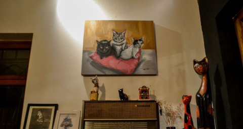 img Tres gatos (4)