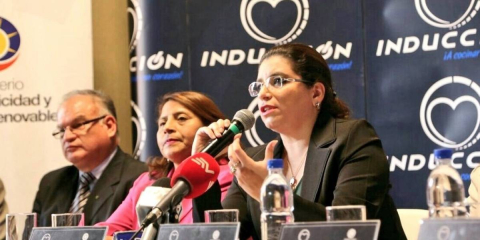 La exministra de Electricidad, Elsy Parodi se fue tras revelar que estaba en análisis alza de combustibles. 