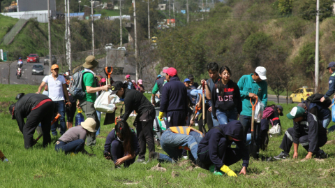 Voluntarios siembran árboles en el exbotadero de Zámbiza