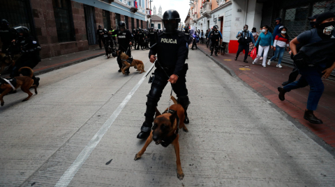 Policías con canes se enfrentan con manifestantes durante la protesta del 11 de agosto de 2021, en Quito.