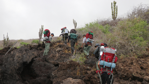 Parte del equipo de la expedición que participó en la búsqueda de las iguanas rosadas en el volcán Wolf.