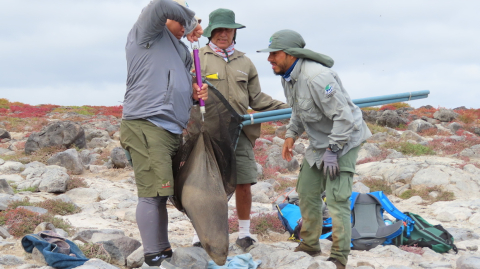 Personal del Parque Nacional Galápagos durante la expedición de monitoreo de especies.