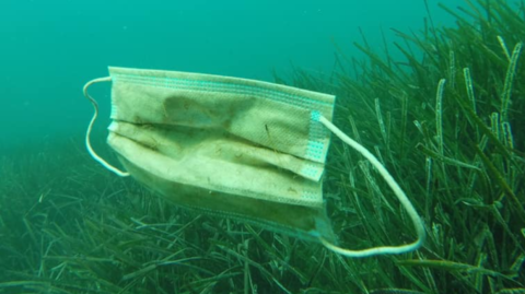 Guantes y mascarillas encontrados en el Mar Mediterráneo por el Colectivo Opération Mer Propre.