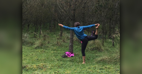 Yoga-Bosque-de-pinos_1