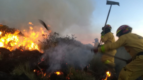 Bomberos intentan sofocar el fuego en el sector de Mojanda, en Imbabura, el 4 de agosto de 2020.