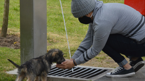 Un hombre atiende a su perro en el parque La Libertad de Cuenca, el 1 de julio de 2020.