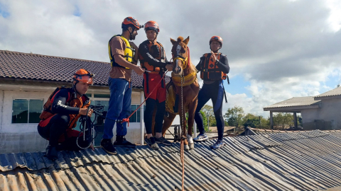 Rescatistas colocan un equipo especial para trasladar al caballo 'Caramelo' en el sur de Brasil, el 9 de mayo de 2024.