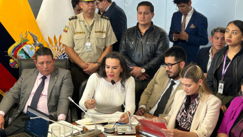 Durante gran parte de la comparecencia la ministra de Ambiente, Sade Fritschi, se apoyó en sus viceministros, lo que molestó a varios legisladores. Quito, 9 de mayo de 2024.