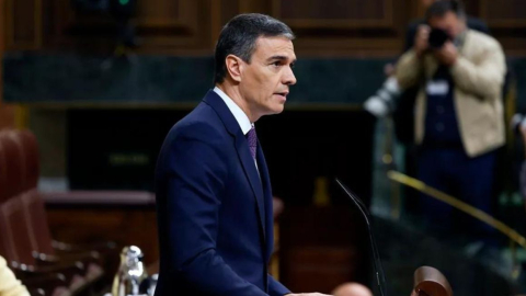 El presidente de España, Pedro Sánchez, en el Congreso, el 22 de mayo, se refirió al reconocimiento de Palestina como Estado.