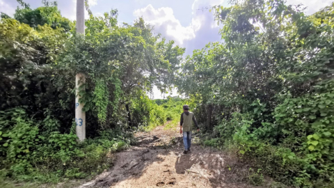 Vista de una trocha abierta por personal militar al norte del recinto Don Lucas (Bajada de Chanduy), en predios en donde se construirá nueva cárcel en la provincia de Santa Elena. 