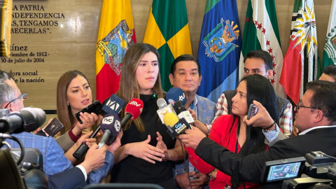 La bancada oficialista de ADN, rechazó este 4 de junio el intento correísta de incluir en el debate la situación de Verónica Abad.