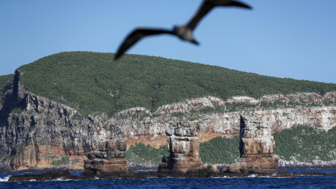 Las Torres de Darwin, en las Islas Galá[agos.