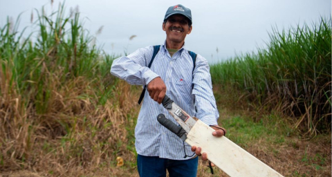 Trabajador de la zafra de Ingenio San Carlos.