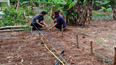 Una severa sequía afecta la producción agrícola de las Islas Galápagos.