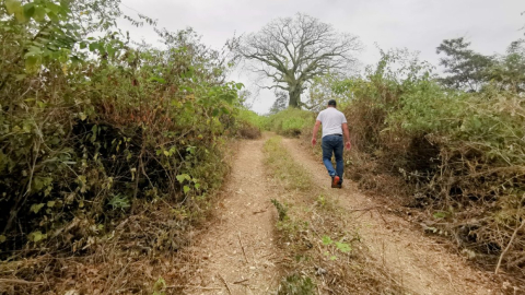 Una trocha abierta en los predios donde se construirá la nueva cárcel de Santa Elena, al interior de la provincia, en límites entre las comunas de Juntas del Pacífico y Bajada de Chanduy.