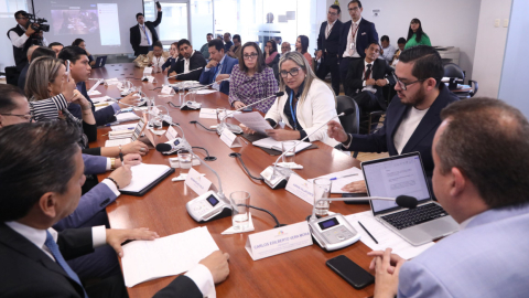 La Comisión Multipartidista para el tratamiento de los proyectos nacidos de la consulta, el 19 de junio de 2024.