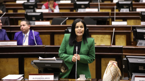 La asambleísta correísta Alexandra Arce en una discusión del Pleno, el 16 de enero de 2024.