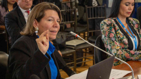 Margarita Hernández, superintendenta de Economía Popular y Solidaria (SEPS) en una comparecencia en la Asamblea, 3 de julio de 2024.