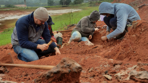 Investigadores brasileños con un fósil de un dinosaurio de más de 230 millones de años en Rio Grande do Sul, 16 de julio de 2024.