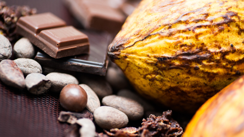 El chocolate es uno de los principales productos derivados del cacao, pero este también se puede comer directamente su pulpa.