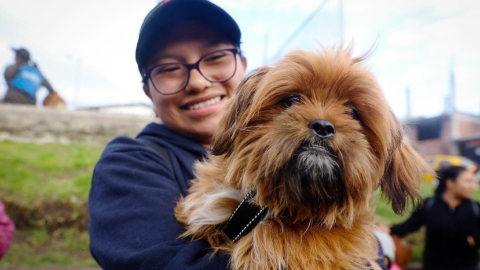 Jornada de esterilización de perros en Quito, el 20 de julio de 2024.