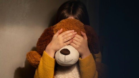 Imagen referencial. Una niña con un muleco de peluche.