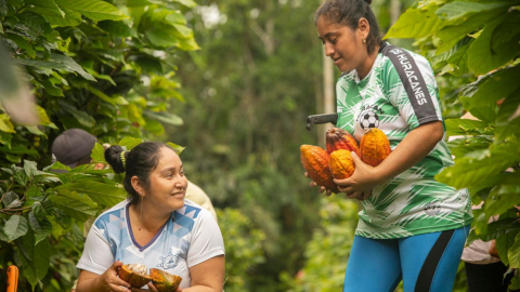 Recolectoras de cacao en la Amazonía de Ecuador.