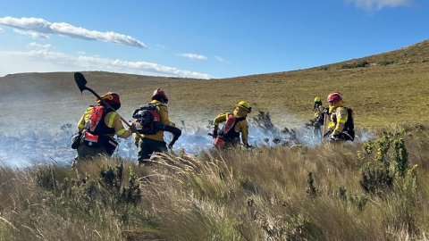 Las altas temperaturas de las próximas horas podrían generar incendios forestales, advierte la Secretaría de Riesgos.