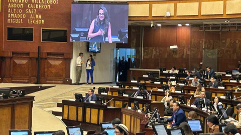 La asambleísta Rosa Belén Mayorga presentó este 1 de agosto de 2024 la moción para crear la comisión ocasional.