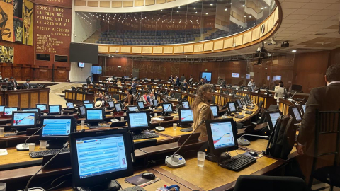 El pleno de la Asamblea conoció este 1 de agosto de 2024 el informe de primer debate de la ley para proteger a los animales.