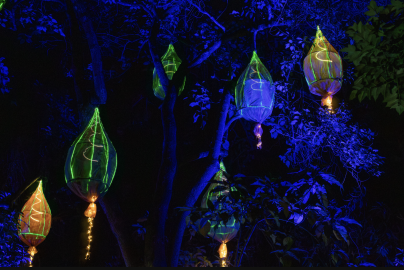 Detalles del Bosque de Luz en el Jardín Botánico de Quito.