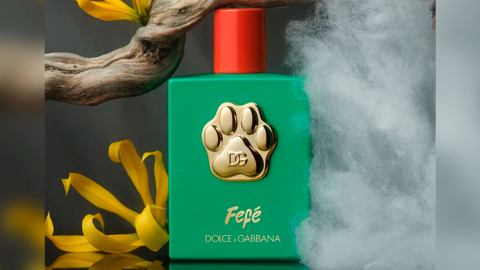 ¿Cuánto pagaría por un perfume para perros? Esto cuesta el de Dolce & Gabbana