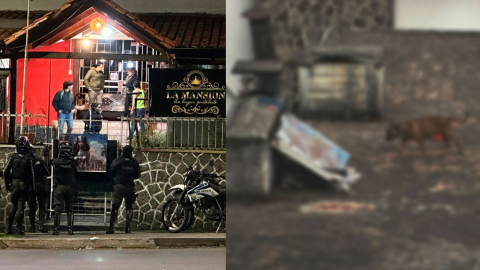 Hallan perros maltratados y sellos de clausura rotos en allanamiento a Night Club en Quito