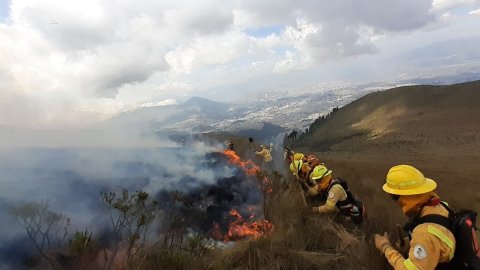 incendios forestales ecuador