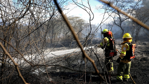 Bomberos controlan dos incendios forestales en Quito; otro está activo en Cuenca